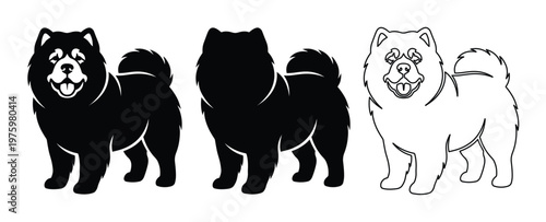 Chow Chow dog vector set, fluffy purebred dog silhouettes and line art icons, black and white canine breed illustrations for pet branding