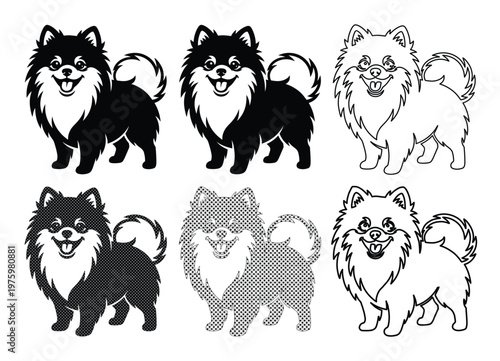 Pomeranian dog vector set, fluffy spitz puppy silhouettes and line art icons, 6 black and white canine illustrations for pet branding and logos