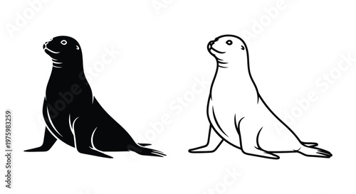 Sea Lions Comparison Guide Key Differences Vector