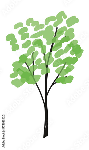 Single hand drawn leafy green tree isolated on white background