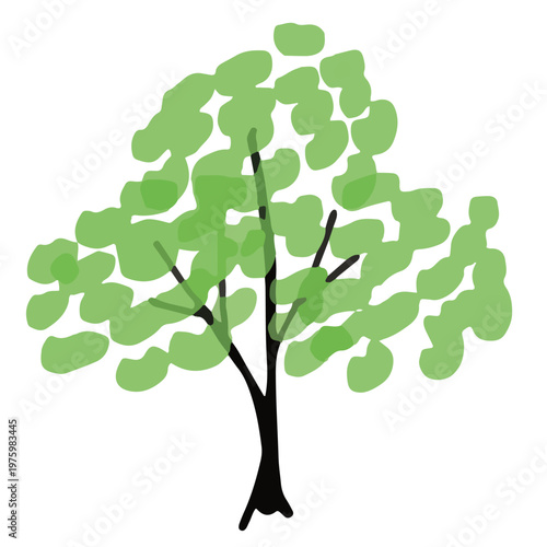 Large green deciduous tree hand drawn botanical vector illustration