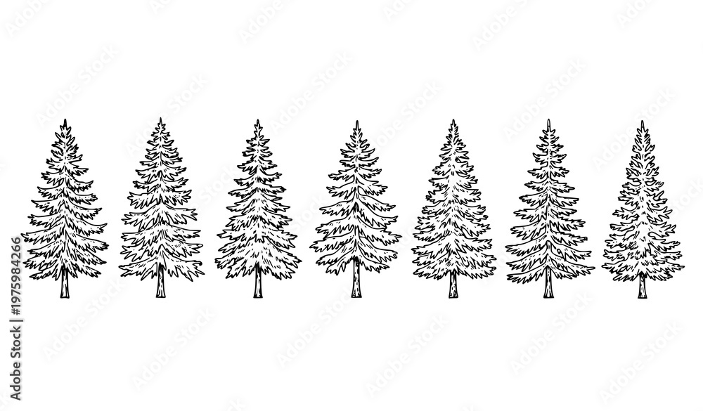 Obraz premium Brown pine and fir tree engraving silhouette set vintage nature vector isolated on white background