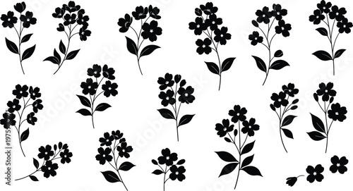 Forget Me Not Flower Silhouette Collection with Vector Illustrations of Myosotis Floral Blossoms, Stems, and Leaves for Decorative Nature Designs