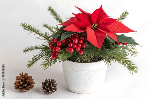 Christmas Poinsettia Arrangement With Pine Cones And Berries Keywords: poinsettia, Christmas, holiday, festive, red