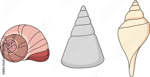 Vector Set of Colorful and Decorative Shells for Coastal, Beach, and Nature Designs