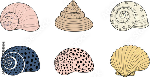Minimalistic Vector Shell Collection with Various Patterns and Colors for Coastal Decor, Beach, and Nature Themes