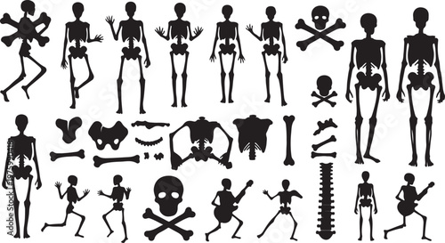 Black skeleton silhouettes collection, human bone anatomy vector set, spooky skull and crossbones icons, dancing and playing guitar skeletons