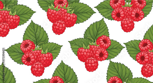 Seamless raspberry berry pattern with green leaves fresh summer fruit background for textile wallpaper wrapping paper and surface design
