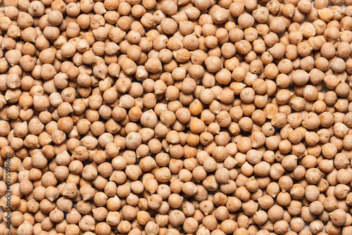 Close-up of fresh raw chickpeas scattered on white background forming textured natural pattern