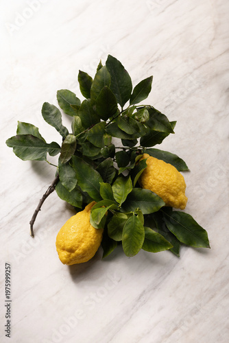 Citron branch with leaves and ripe fruits on a marble table, highlighting natural citrus texture and elegant Mediterranean still life composition.