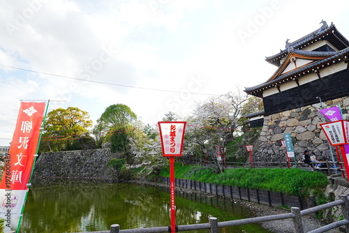 Koriyama Castle Ruins in Nara with Cherry Blossoms - Spring in Japan - 日本 奈良 大和郡山城 満開の桜と石垣 
