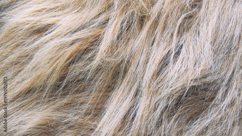 Naklejka premium Close-up texture of brown animal fur or long hair background.