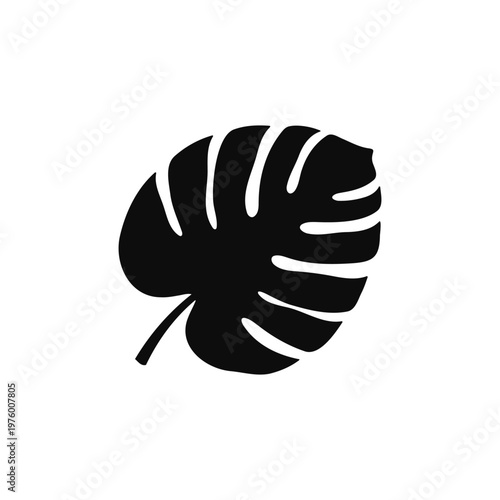 Monstera leaf silhouette vector flat illustration design.