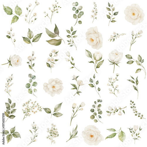 Foto Watercolor Floral element Graphics, High-Res Flower Borders for Physical Product