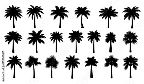 Black palm tree silhouettes vector set tropical beach palms oasis island resort vacation