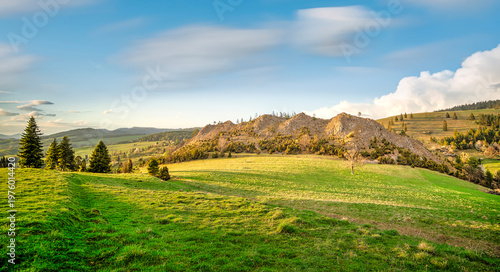 spring landscape in the mountains
