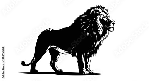 Majestic Lion Silhouette Standing Proudly on White Background.
