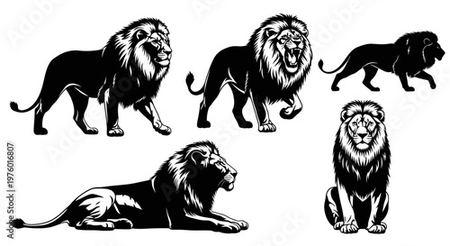 Majestic Lions in Various Poses Black and White Vector Illustration Set.