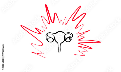 Female reproductive system