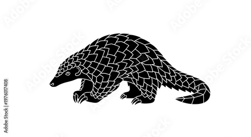 Pangolin black and white illustration on white background.