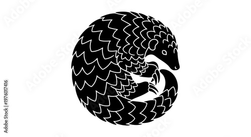 Pangolin curled up in a ball, black and white illustration.