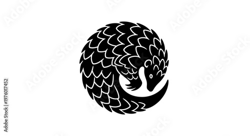 Pangolin curled up in a defensive ball, black and white illustration.