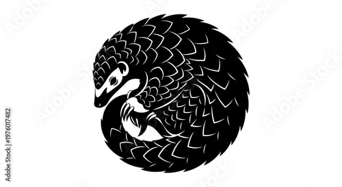 Pangolin curled up in a defensive ball illustration.