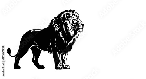 Powerful black and white lion standing majestically.