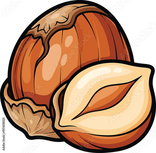 Cartoon hazelnut with shell and kernel, isolated on white background