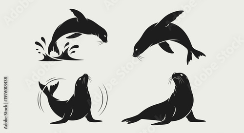 Set of four black silhouettes of sea lions and seals in various poses.