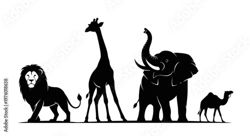 Photography Silhouettes of majestic wild animals standing together in a row.