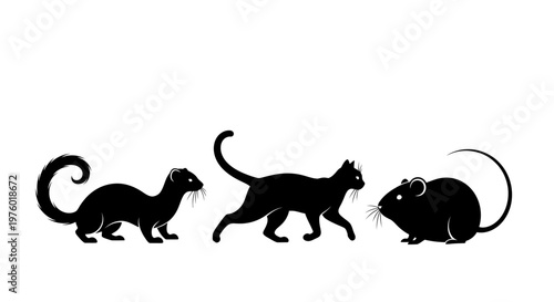 Silhouettes of a weasel, cat, and mouse on a white background.