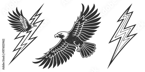Stylized eagle with outstretched wings flanked by lightning bolts lightning bolt graphic design line art black and white thunderbolt illustration silhouette predator