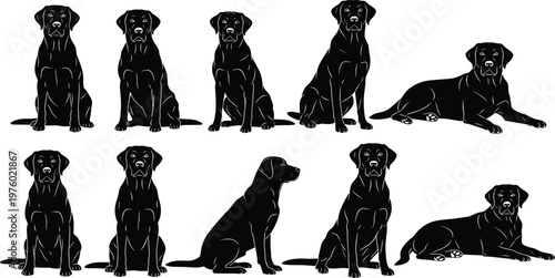 Black Labrador dog silhouette collection showing multiple poses including sitting, standing and lying, isolated on white background, ideal for pet design, vector illustration concepts