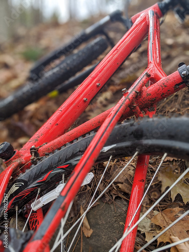 Red mountain bike frame lies on a damp forest floor, mud splattered across tires and spokes among fallen autumn leaves. Closeup shot conveys rugged outdoor adventure, cycling grit & trail exploration.