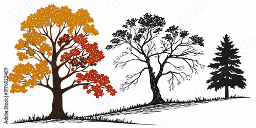 Diverse tree types graphic illustration set featuring autumn deciduous trees with colorful leaves a bare silhouette a dark conifer pine tree plant life tree line