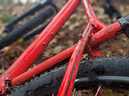 Red mountain bike frame lies on a damp forest floor, mud splattered across tires and spokes among fallen autumn leaves. Closeup shot conveys rugged outdoor adventure, cycling grit & trail exploration.