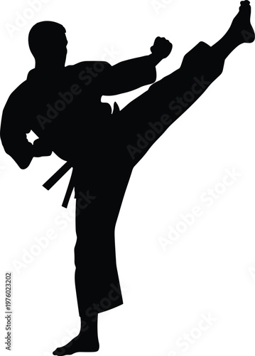 Martial arts fighter silhouette performing high kick, karate training action pose, isolated black figure, combat sport illustration, dynamic movement, strength and discipline concept