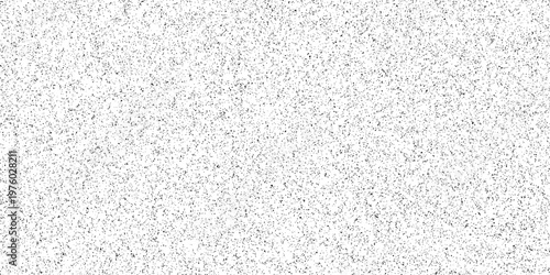 Grunge grain scratched texture vector black and white grain noise Speckle grain dot white paper noise texture with distress effect vector illustration