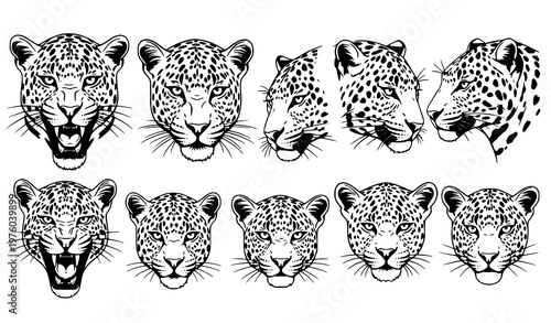Black leopard face vector silhouette set wildlife illustration