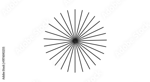 Black abstract starburst on a white background