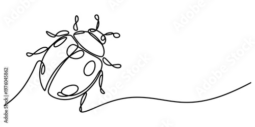 A minimalist single continuous line drawing of a ladybug beetle on a clean white background Vector, illustration