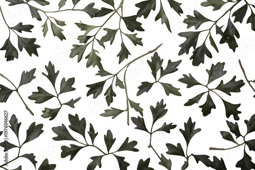Green leaves pattern creating a natural background with small branches, realistic botany element on transparent background