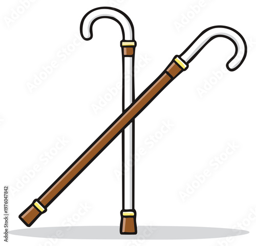 Two elegant canes crossed for support and stability featuring traditional craftsmanship with distinct designs and polished finishes