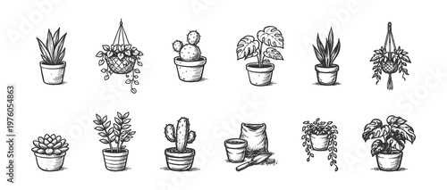 Collection of hand-drawn potted and hanging houseplants and gardening supplies. Vector