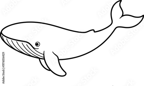 Whale outline on transparent background simple cartoon style illustration for kids ocean animal vector art.