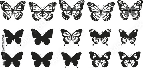 Butterfly silhouette and detailed outline collection featuring multiple insect wing patterns, decorative shapes, and minimal black vector design set