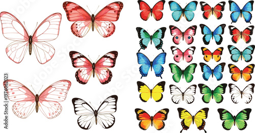 Butterfly mega collection featuring outline, gradient, and colorful species with detailed wings, symmetry, and decorative insect vector illustrations