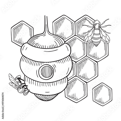 Hand-drawn graphic composition of honeycombs, bees and beehive isolated on white background for product design or packaging