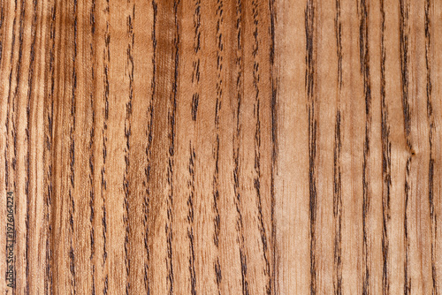 wood oak texture natural background surface with old natural pattern, texture with wooden grain